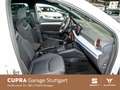 SEAT Ibiza 1.0 TSI FR DSG *NAVI* *SHZ* *EPH* Weiß - thumbnail 5