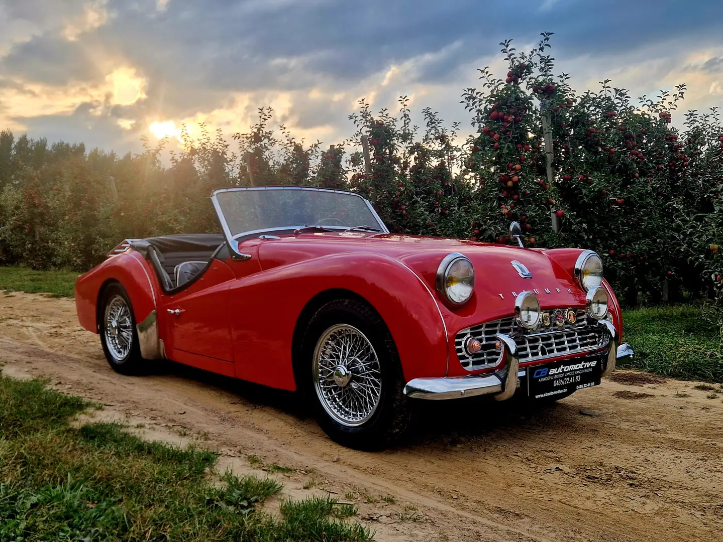 Triumph TR3 "concoursstaat" Piros - 2
