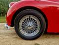 Triumph TR3 "concoursstaat" Piros - thumbnail 15