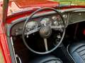 Triumph TR3 "concoursstaat" Rouge - thumbnail 19