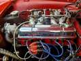 Triumph TR3 "concoursstaat" Rouge - thumbnail 16