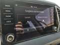 Skoda Karoq Karoq 2022 2.0 tdi evo Style 115cv dsg - thumbnail 11