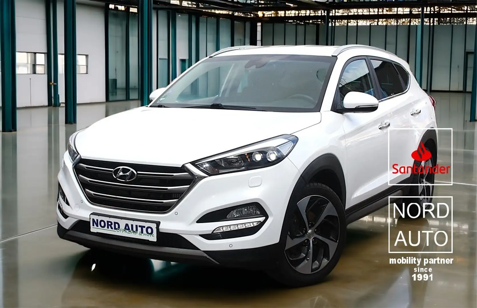 Hyundai TUCSON Tucson 1.6 4x4 PREMIUM Leder/Navi/Kam/Pdc/1.Hand Weiß - 1