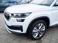 Skoda Kodiaq 2.0 TSI Style 4x4 360°+AHK+STANDHZG Weiß - thumbnail 3