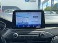 Ford Focus Turnier Vignale PANO*ACC*TWA*HUD*LEDER*KAM Weiß - thumbnail 14