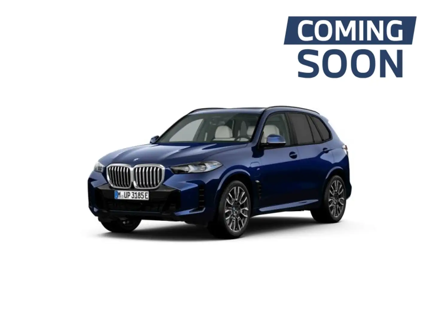 BMW X5 M SPORT - PANODAK - HARMAN-KAR Bleu - 1