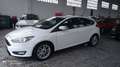 Ford Focus 1.6TDCi Trend+ 115 Blanc - thumbnail 12