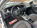 Audi A4 allroad 2.0 tdi Business Plus 177cv s-tronic Bianco - thumbnail 14