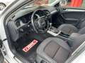 Audi A4 allroad 2.0 tdi Business Plus 177cv s-tronic Bianco - thumbnail 3