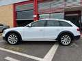 Audi A4 allroad 2.0 tdi Business Plus 177cv s-tronic Bianco - thumbnail 4
