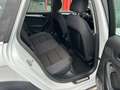 Audi A4 allroad 2.0 tdi Business Plus 177cv s-tronic Bianco - thumbnail 11