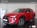 Lexus UX 300e Business Rouge - thumbnail 1