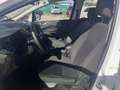 Ford C-Max 1.5TDCi Auto-S&S Trend+ PS 120 Weiß - thumbnail 17