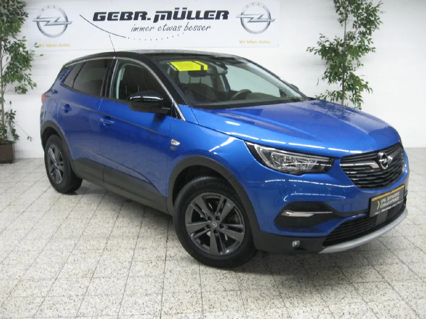 Opel Grandland Opel 2020 Blau - 2