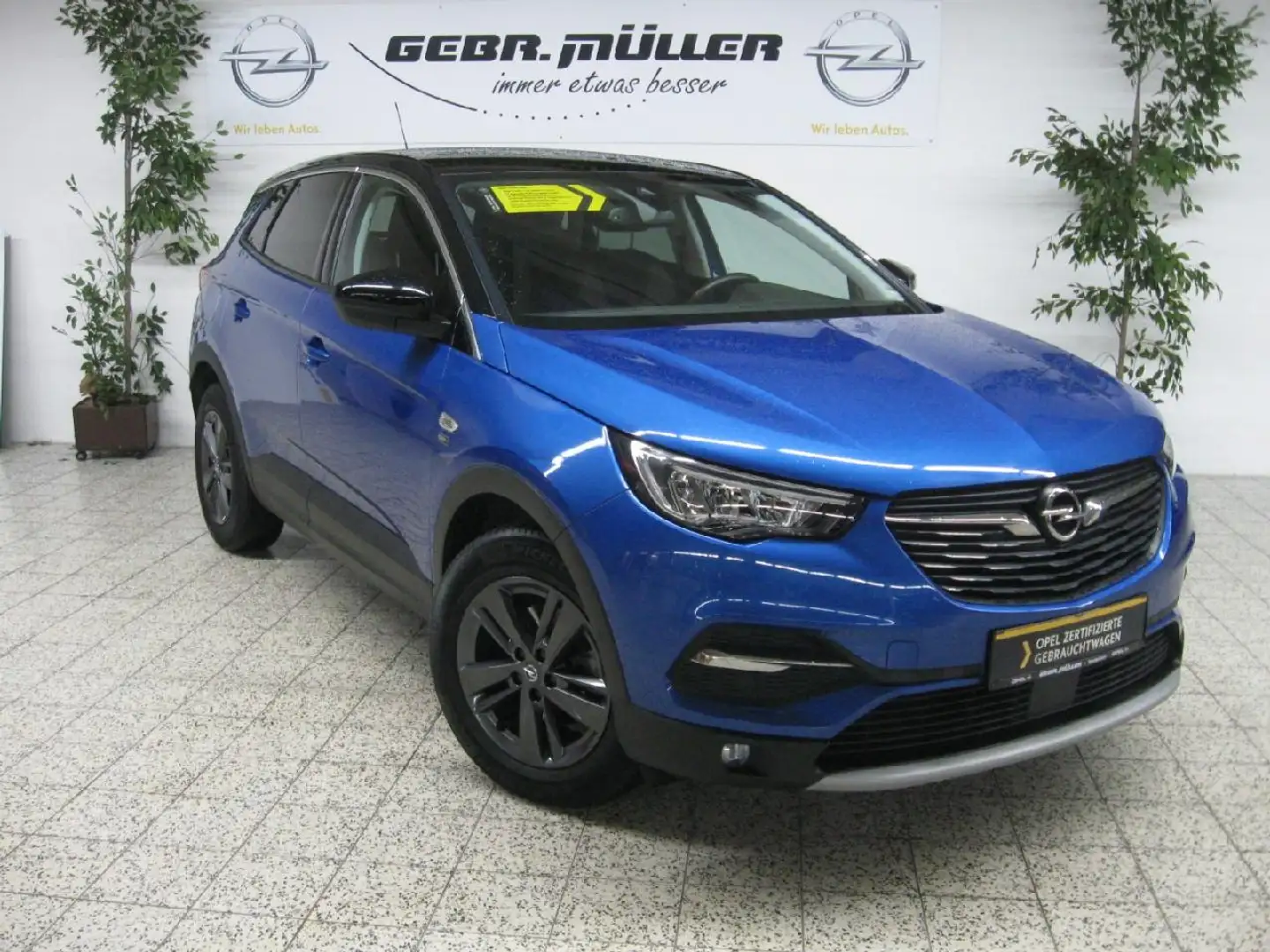 Opel Grandland Opel 2020 Blau - 1