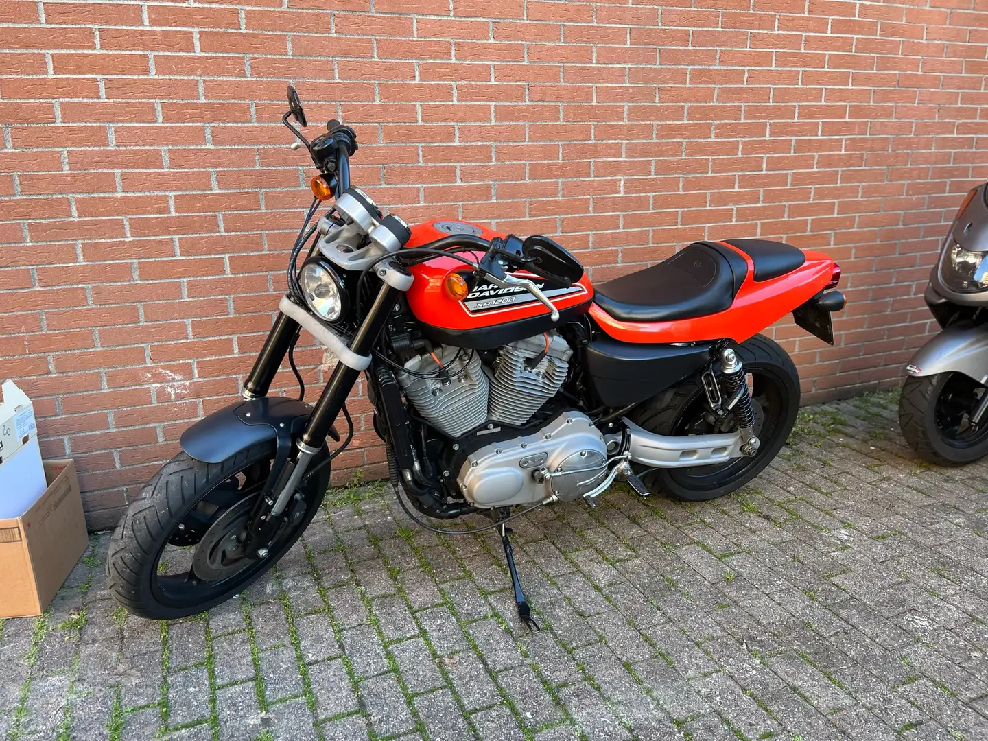 Harley-Davidson XR 1200 Oranj - 1
