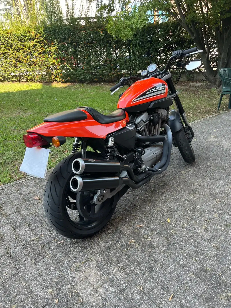 Harley-Davidson XR 1200 Oranje - 2