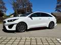 Kia ProCeed / pro_cee'd 1.6 T-GDI DCT7 OPF GT Panoramaschiebedach Weiß - thumbnail 7