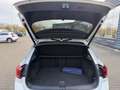 Volkswagen T-Roc Sport 4Motion LED NAVI Blanc - thumbnail 23