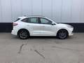 Ford Kuga III ST-Line Wit - thumbnail 5