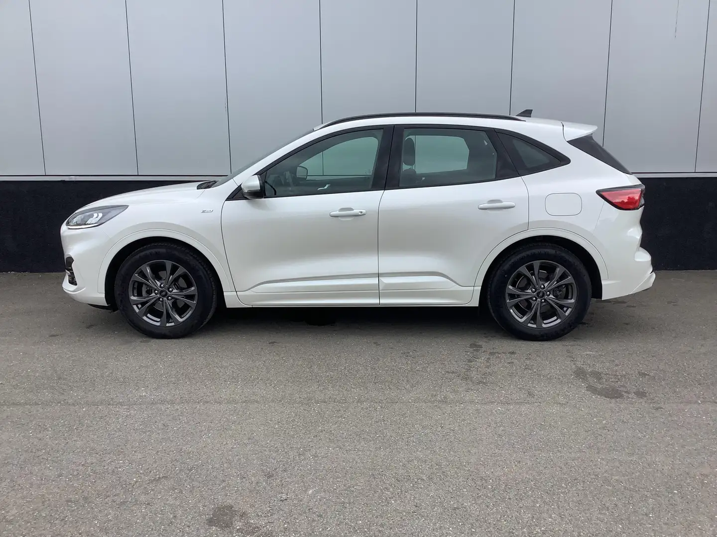 Ford Kuga III ST-Line Wit - 2