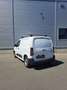 Citroen Berlingo Kastenwagen Komfort M BlueHDi 75 S&S n... Weiß - thumbnail 4