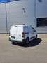 Citroen Berlingo Kastenwagen Komfort M BlueHDi 75 S&S n... Weiß - thumbnail 5