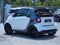 smart forTwo Fortwo III 2015 -CABRIO- 1.0 Prime 71cv  my19 Bianco - thumbnail 2