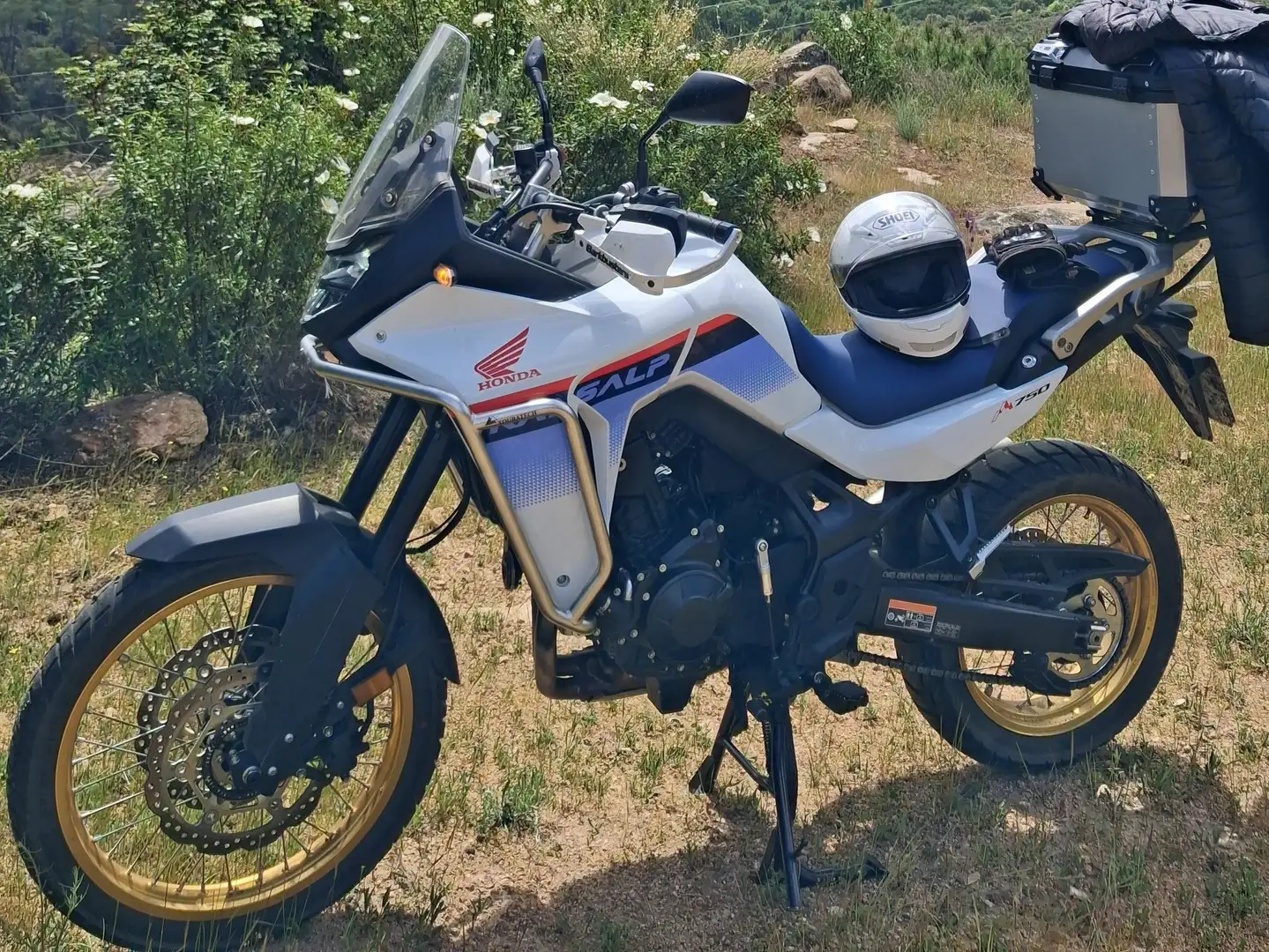 Honda XL 750 Transalp 2024 - 1