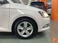 Skoda Fabia 1.0 MPI Ambition 55kW Blanco - thumbnail 10
