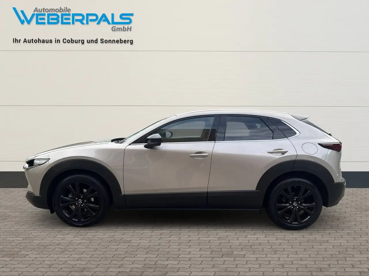 Mazda CX-30 Homura 2WD-NAVI-KAMERA-SITZHEIZUNG-LED, миниатюра 13