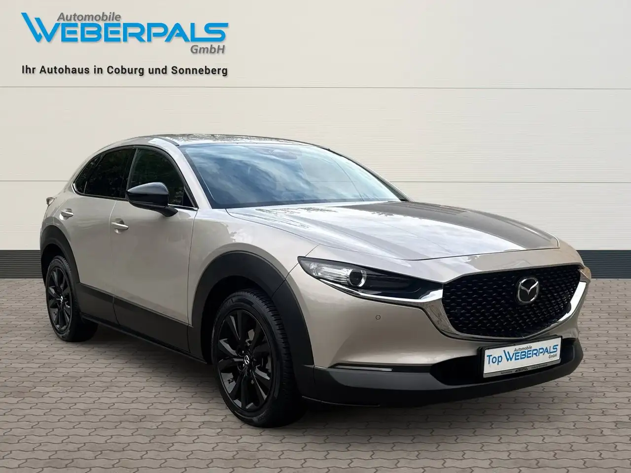 Mazda CX-30 Homura 2WD-NAVI-KAMERA-SITZHEIZUNG-LED, миниатюра 4