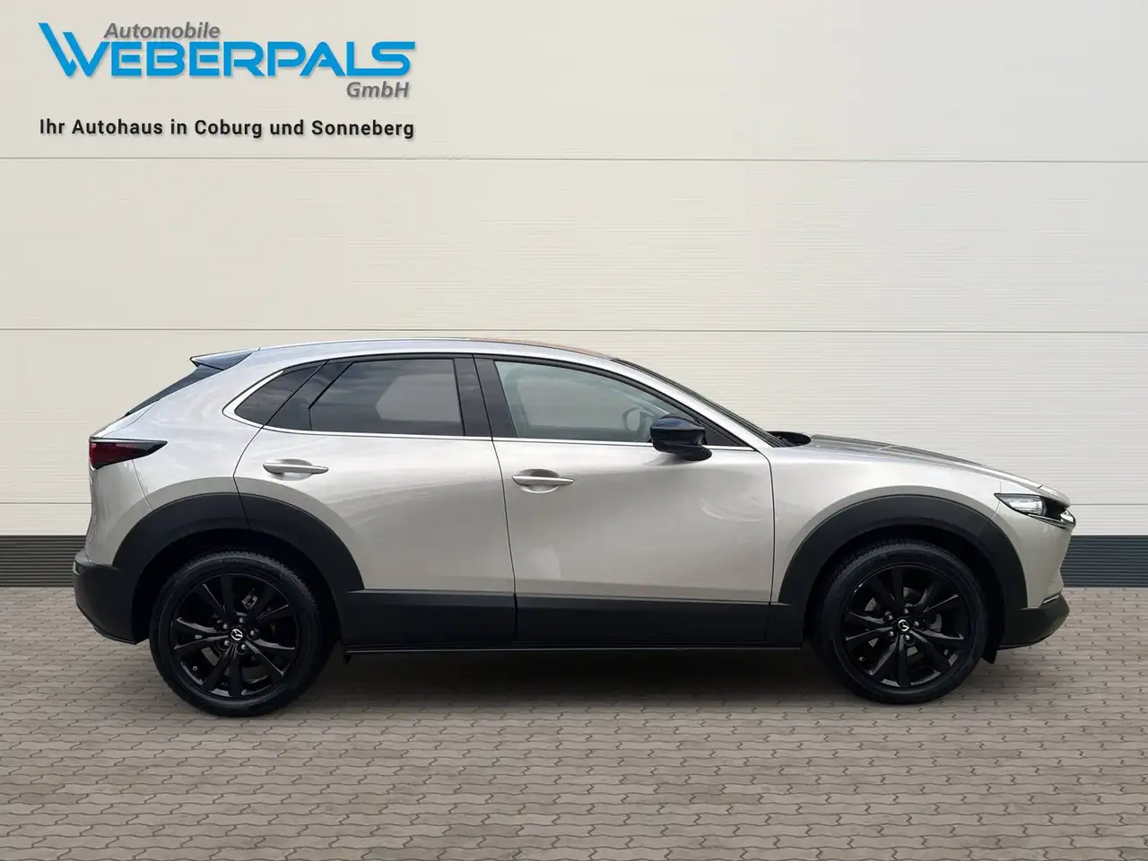 Mazda CX-30 Homura 2WD-NAVI-KAMERA-SITZHEIZUNG-LED, миниатюра 14