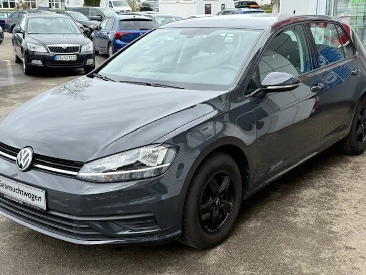 Volkswagen Golf Trendline 1,0 l TSI 85 kW/116 PS 6-Gang Grau - 1