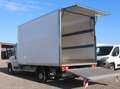 Fiat Ducato Kasten/€ 24.000,-netto/ Koffer Ladebordwand Weiß - thumbnail 9