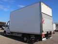 Fiat Ducato Kasten/€ 24.000,-netto/ Koffer Ladebordwand Weiß - thumbnail 4
