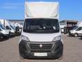 Fiat Ducato Kasten/€ 24.000,-netto/ Koffer Ladebordwand Weiß - thumbnail 2