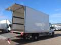 Fiat Ducato Kasten/€ 24.000,-netto/ Koffer Ladebordwand Weiß - thumbnail 7