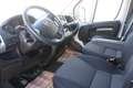 Fiat Ducato Kasten/€ 24.000,-netto/ Koffer Ladebordwand Weiß - thumbnail 15