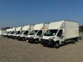 Fiat Ducato Kasten/€ 24.000,-netto/ Koffer Ladebordwand Weiß - thumbnail 23