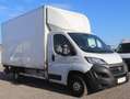 Fiat Ducato Kasten/€ 24.000,-netto/ Koffer Ladebordwand Weiß - thumbnail 3
