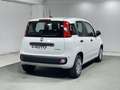 Fiat Panda 1.0 FireFly S&S Hybrid 5 Posti KM ZERO Bianco - thumbnail 5