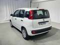 Fiat Panda 1.0 FireFly S&S Hybrid 5 Posti KM ZERO Bianco - thumbnail 3