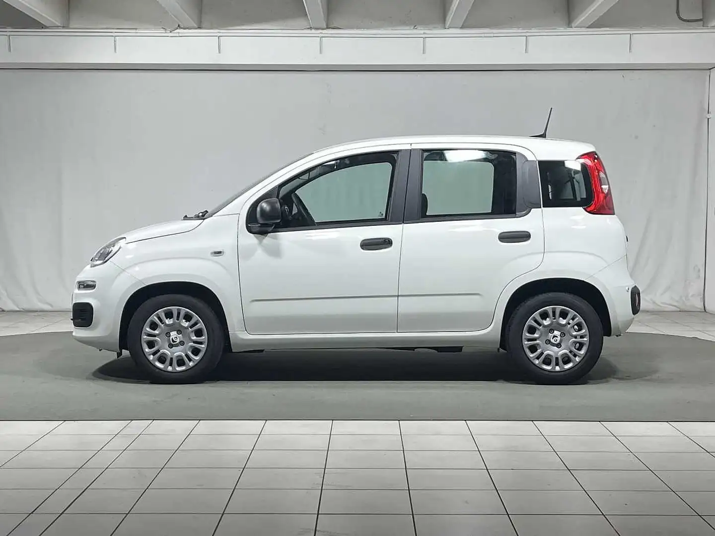 Fiat Panda 1.0 FireFly S&S Hybrid 5 Posti KM ZERO Bianco - 2