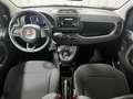 Fiat Panda 1.0 FireFly S&S Hybrid 5 Posti KM ZERO Bianco - thumbnail 12