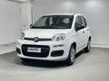 Fiat Panda 1.0 FireFly S&S Hybrid 5 Posti KM ZERO Bianco - thumbnail 1
