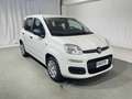 Fiat Panda 1.0 FireFly S&S Hybrid 5 Posti KM ZERO Bianco - thumbnail 7