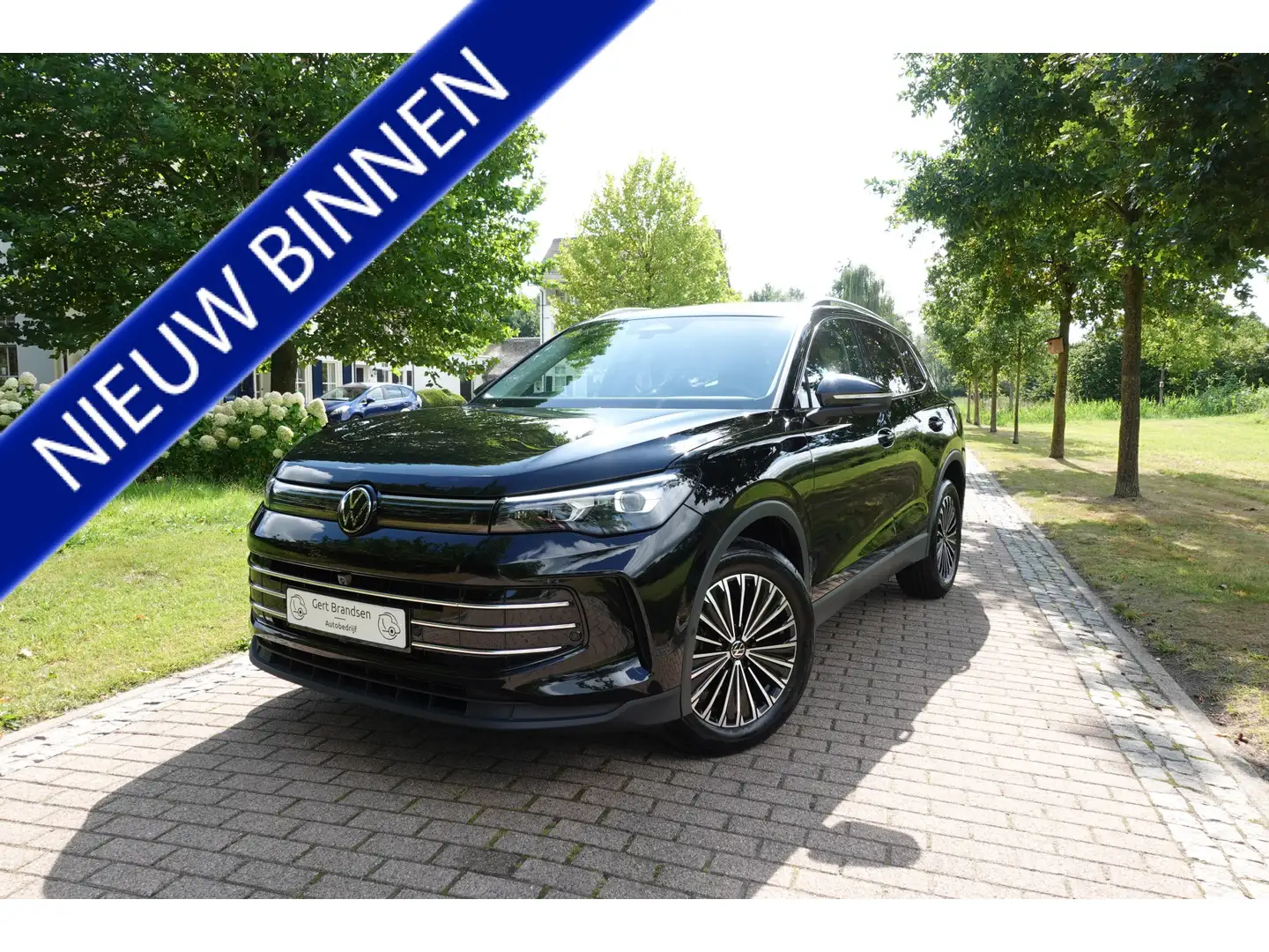 Volkswagen Tiguan 1.5 eHybrid Elegance Business | 360° Camera | Mass - 1