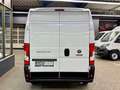 Fiat Ducato 2.2 D L2H2 3,3t KLIMA PDC 3SITZE CARPLAY Blanc - thumbnail 7
