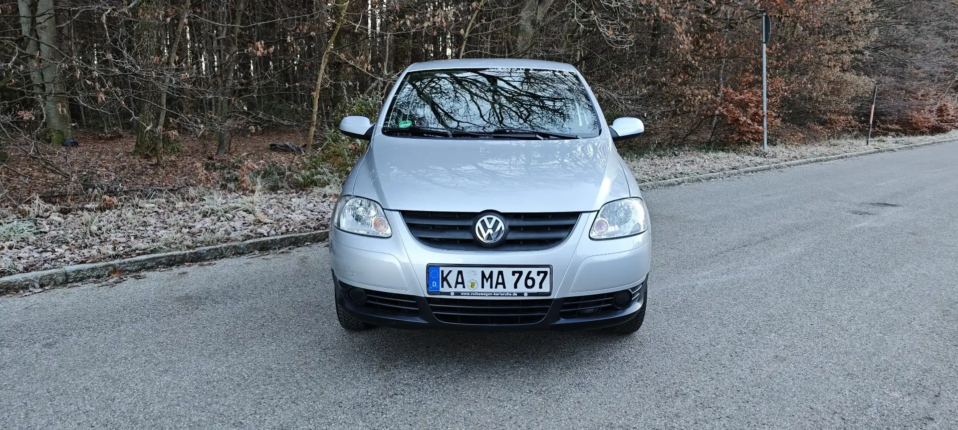 Volkswagen Fox Basis siva - 1